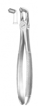  Fig. 79 lower third molars 